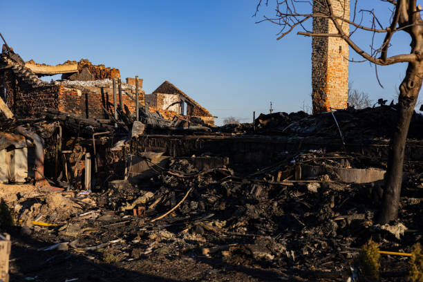 Reliable Fire Damage Removal contractor in Willow Grove, TX by Fire Damage Doption