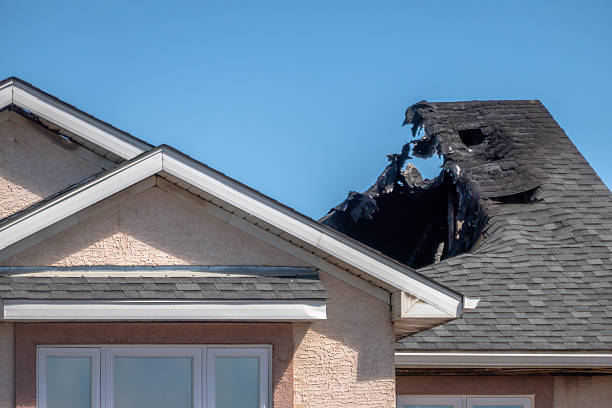 Top rated local Fire Damage Removal specialists in Willow Grove, TX